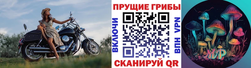 Купить где  Северодвинск  Галлюциногенные грибы MAGIC MUSHROOMS 